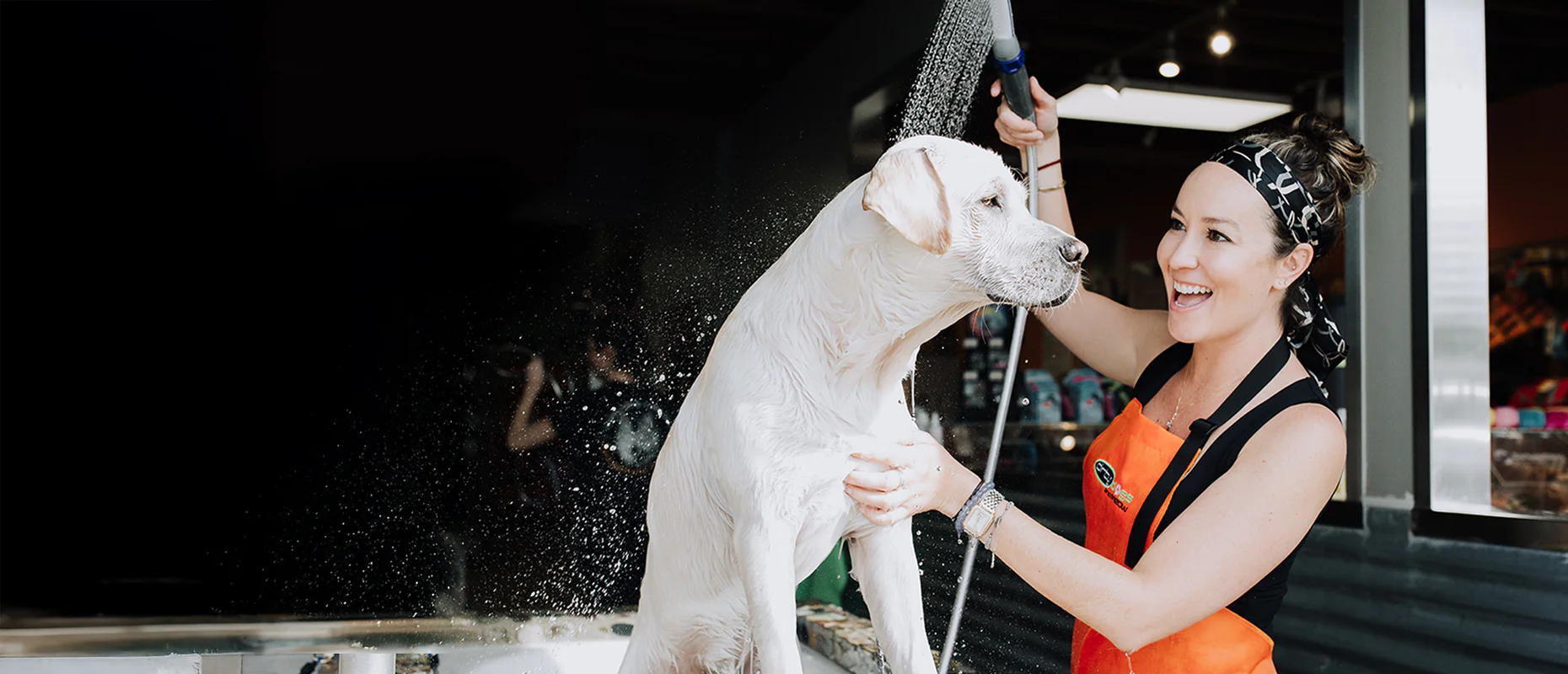 Pamper Your Pets, Cage-Free