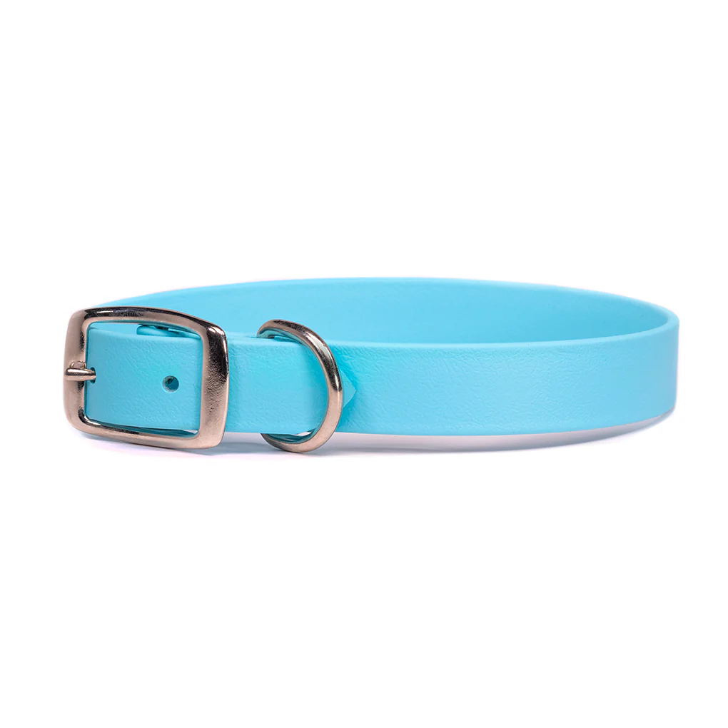 ALC Sparky's Choice Standard Buckle Collar Baby Blue 18" x 1"