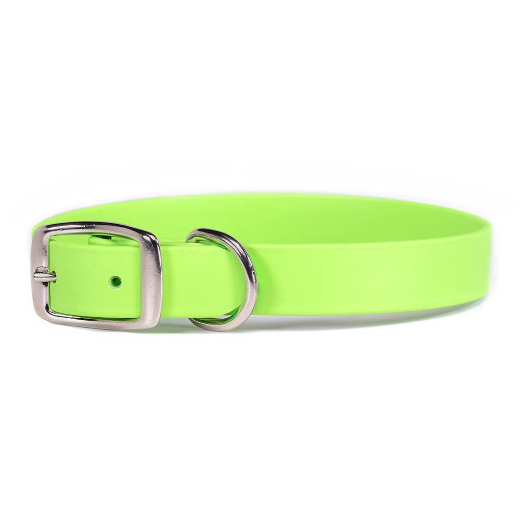 ALC Sparky's Choice Standard Buckle Collar Lime 14" x 3/4"