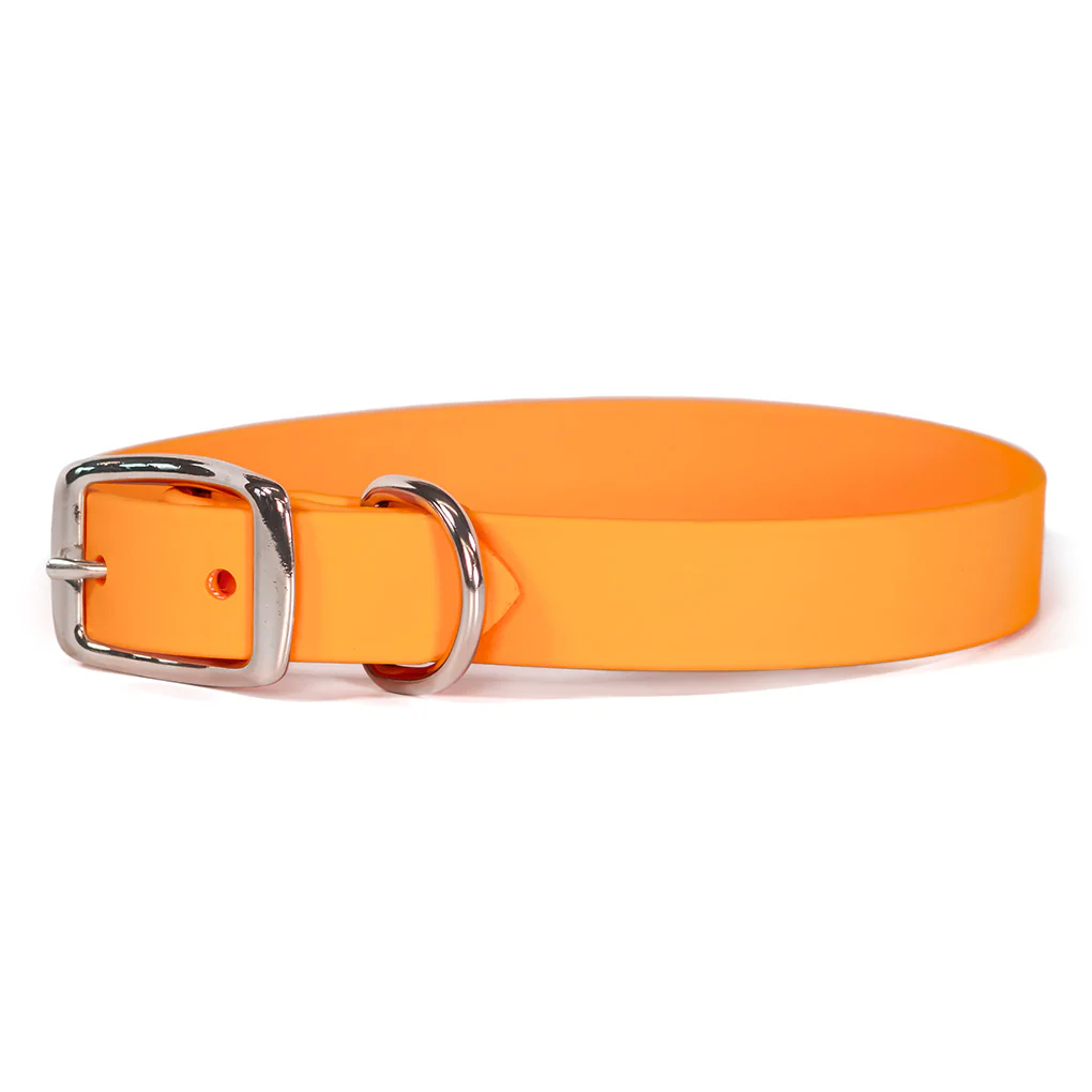 ALC Sparky's Choice Standard Buckle Collar Orange 18" x 1"