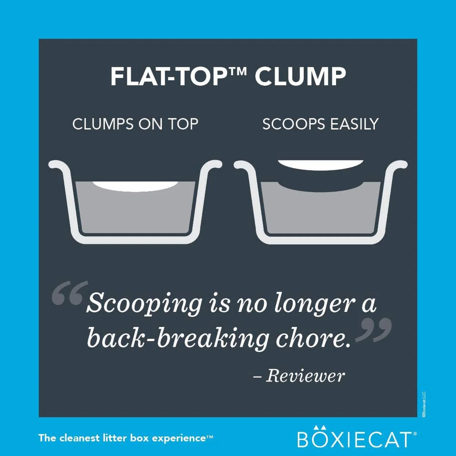 BoxieCat Scent Free Cat Litter - Image 5