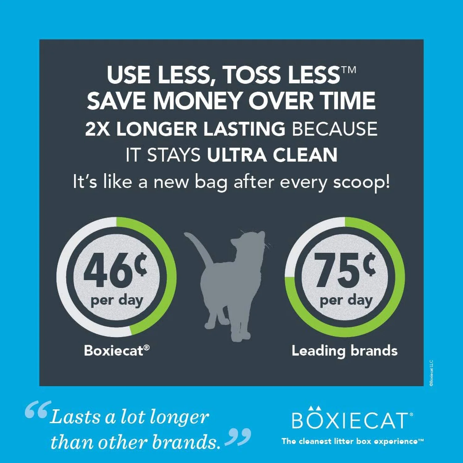 BoxieCat Scent Free Cat Litter - Image 6