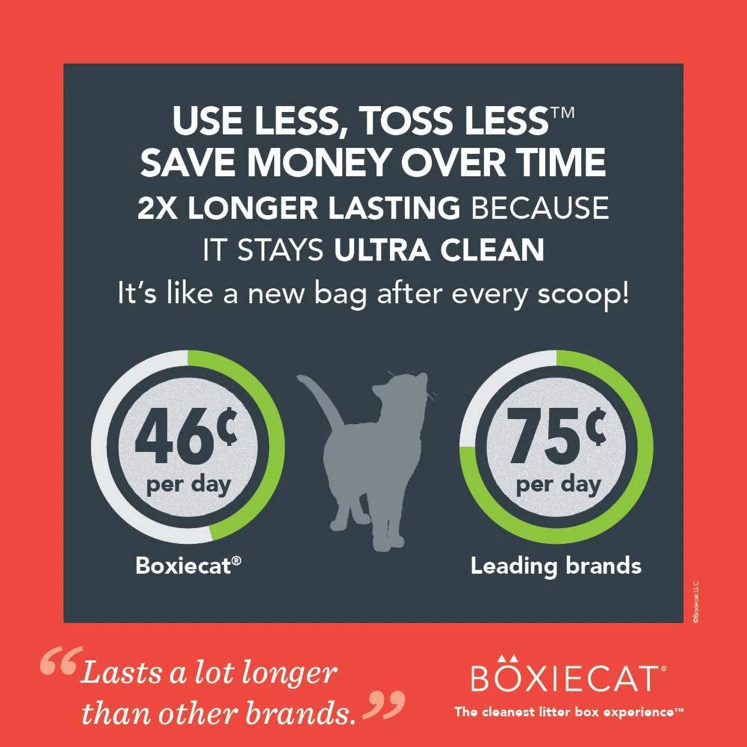 BoxieCat Scent Free Extra Strength Cat Litter - Image 6