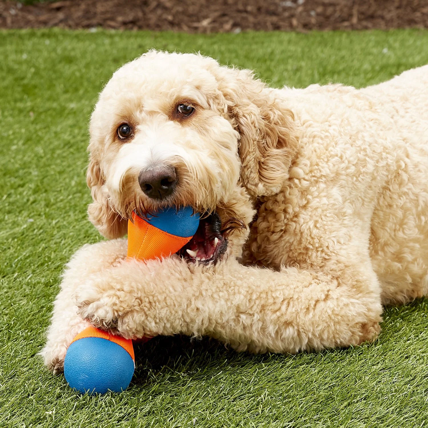 ChuckIt Tri-Bumper MD - Image 3