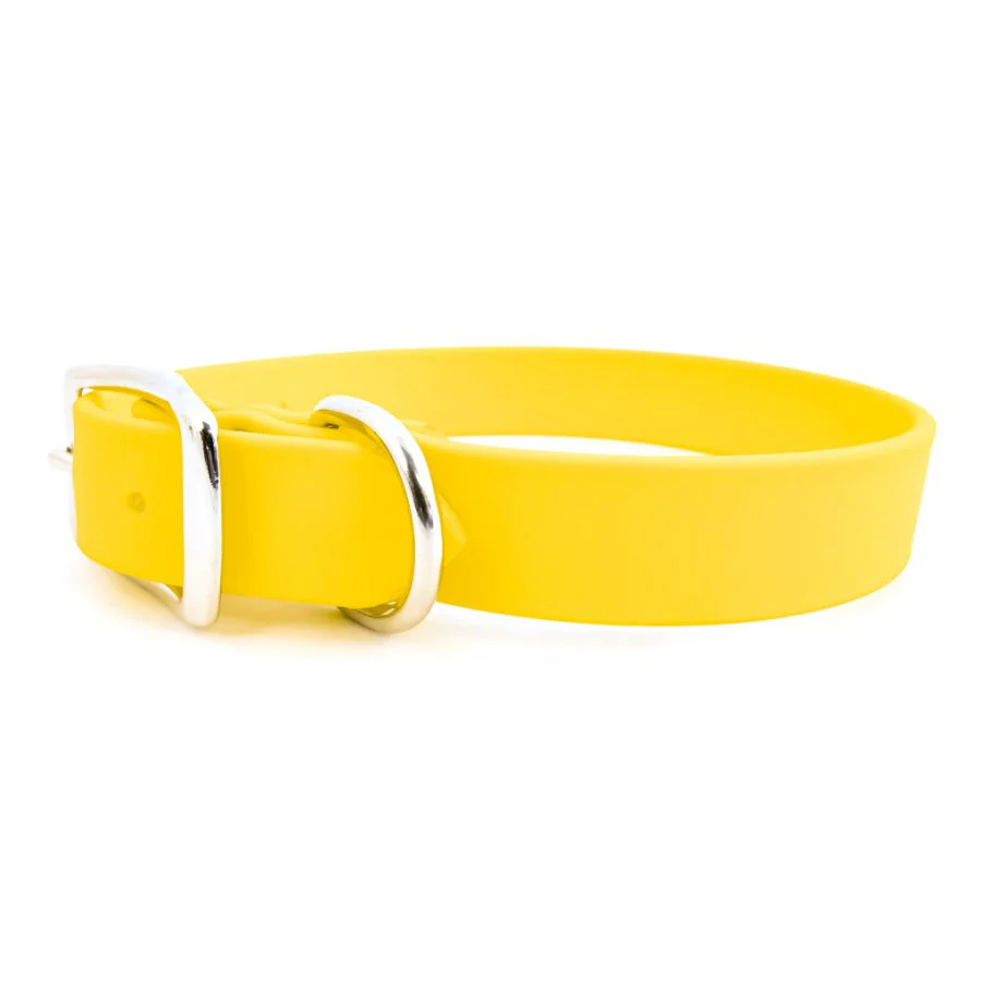 ALC Sparky's Choice Standard Buckle Collar Yellow 14" x 3/4"