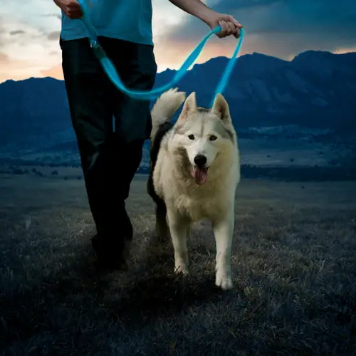 Nite Ize Rechargeable L.E.D Leash Blue LED - Image 3