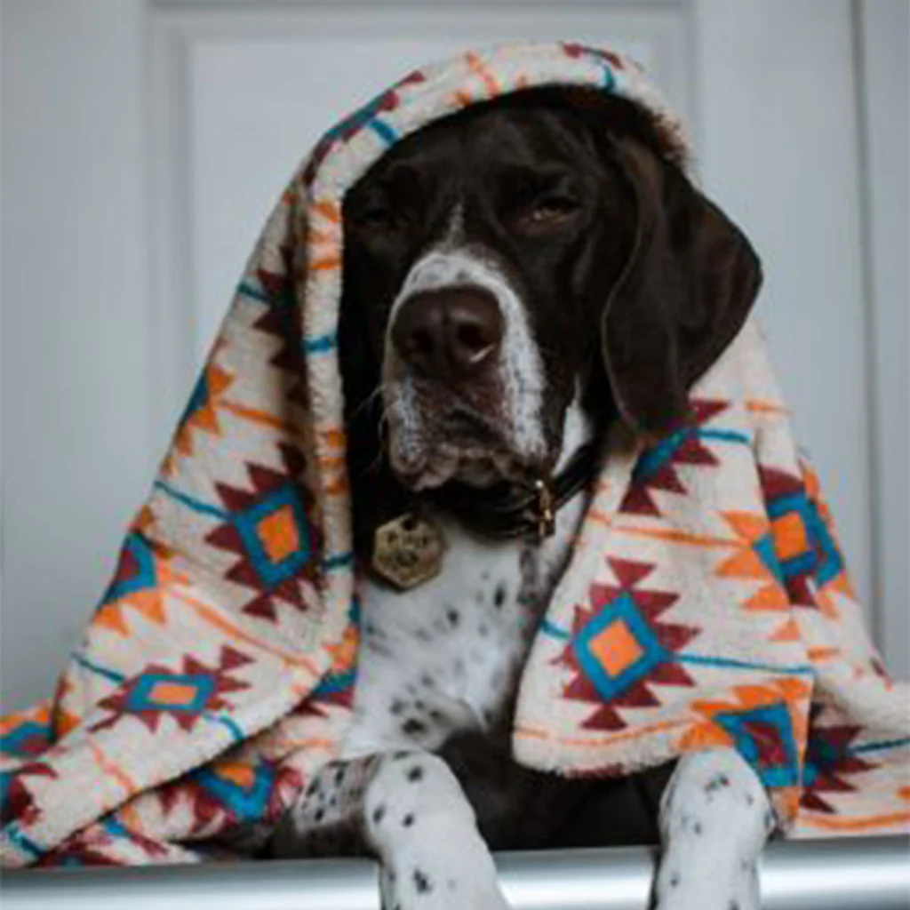 Tall Tails Fleece Blanket Southwest 30 x 40 MD - Image 4