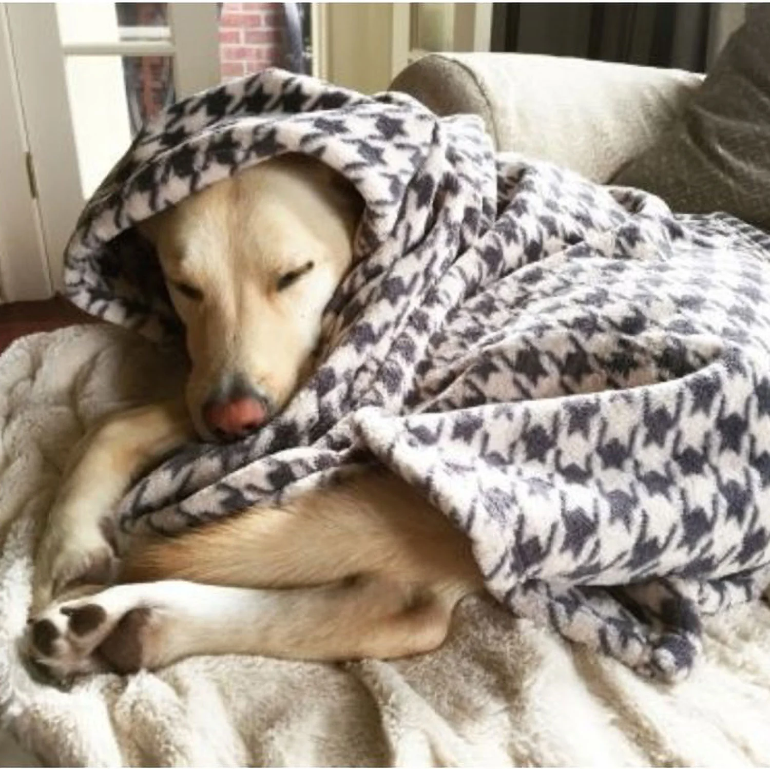 Tall Tails Fleece Blanket Houndstooth Applique 30 x 40 MD - Image 4