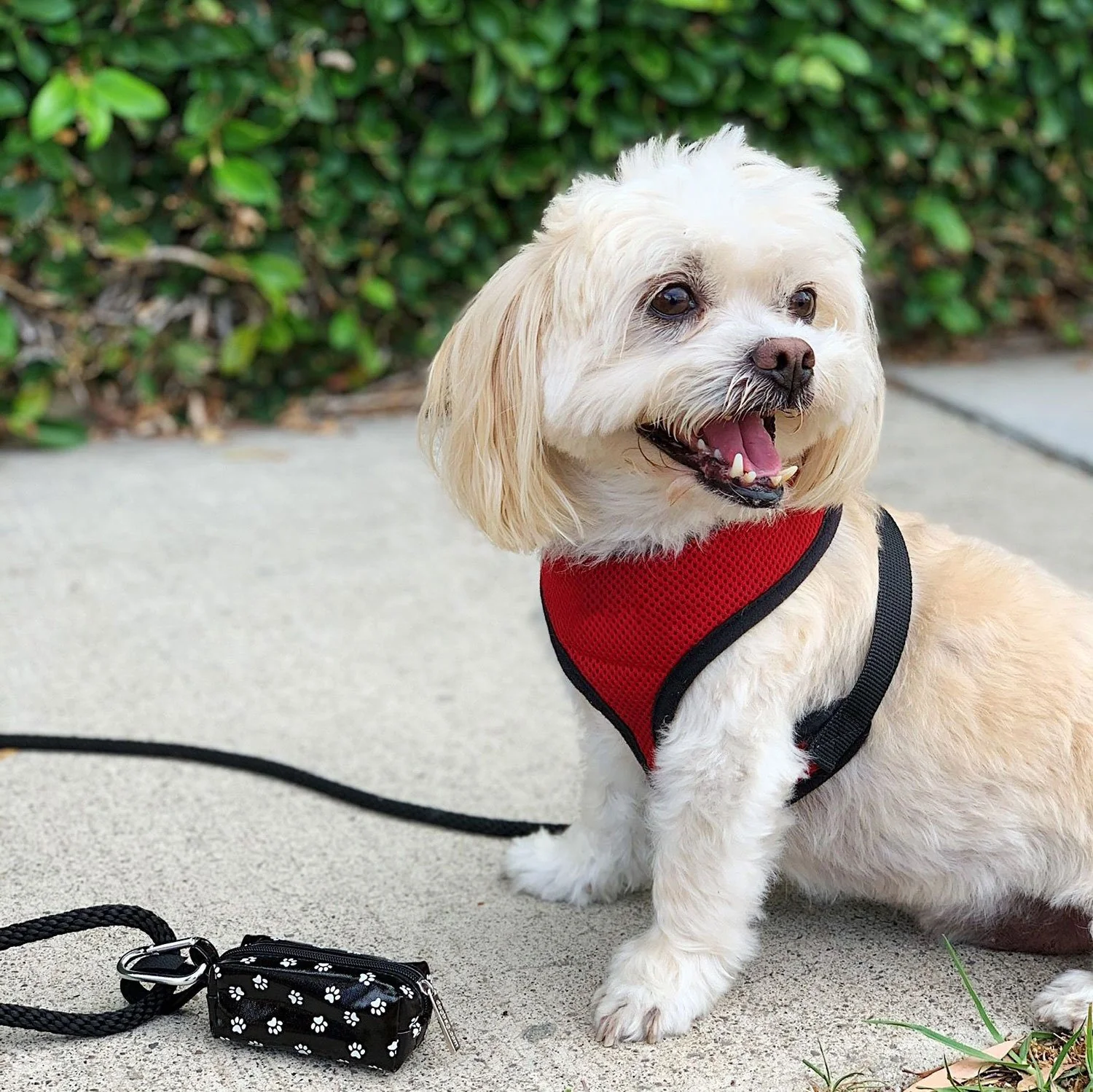 DISCONTINUED Doggie Walk Duffel Black w White Paws - Image 2