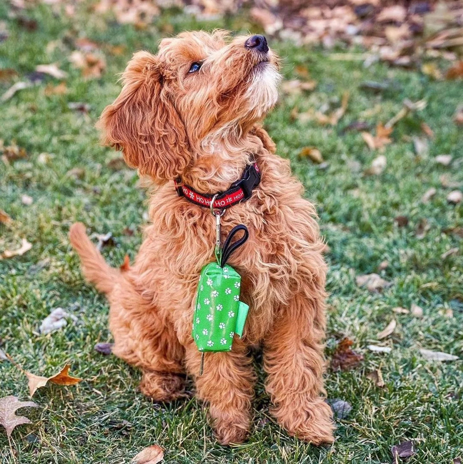 DISCONTINUED Doggie Walk Duffel Green Pet Gear - Image 2