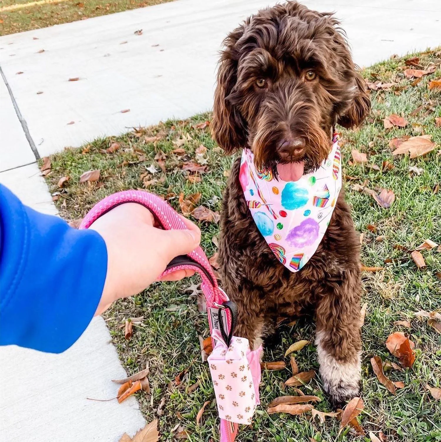 DISCONTINUED Doggie Walk Duffel White With Pink Flamingos - Image 2