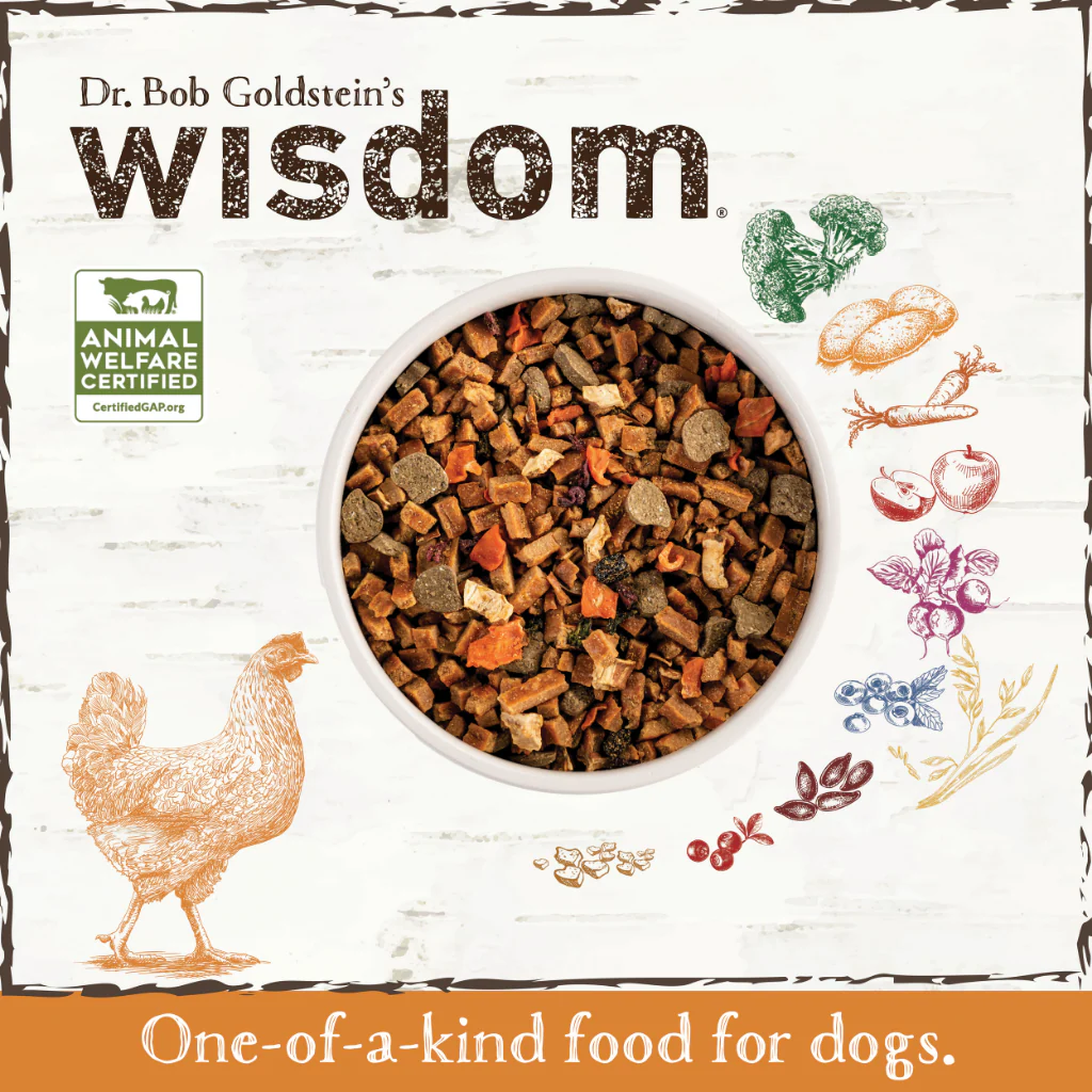 Earth Animal Wisdom Chicken - Image 5
