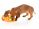 FuzzYard Burrito - Image 3