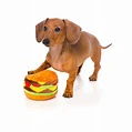 FuzzYard Hamburger - Image 2