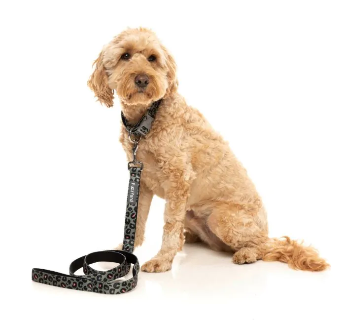 FuzzYard Savanna - Leash - Image 2