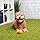 GoDog Silent Squeaker Ball 2 - Pack - Image 3