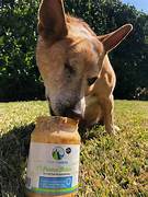 GREEN COAST PAWNUT BUTTER - Image 2