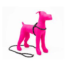 Harness & Lead Black - Image 3