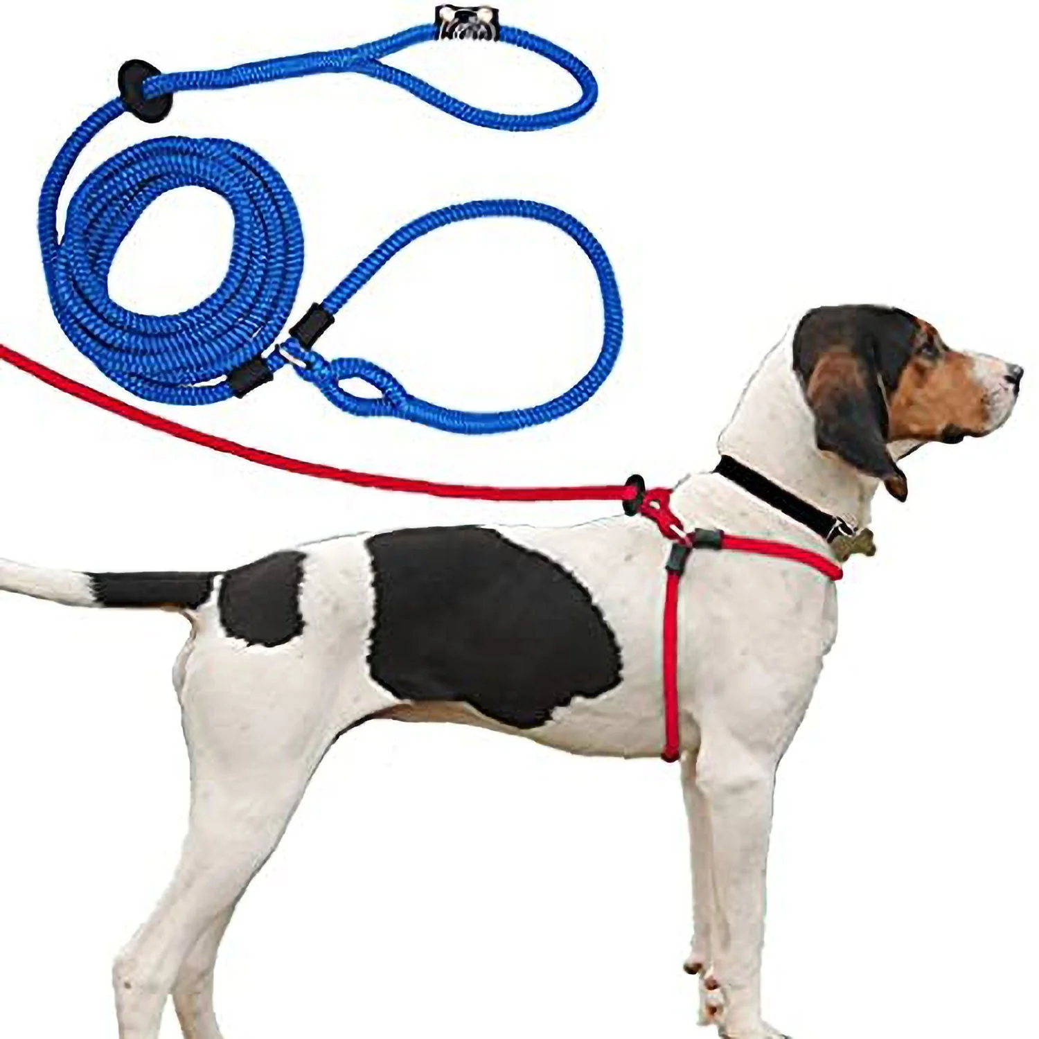 Harness & Lead Pink - Image 2