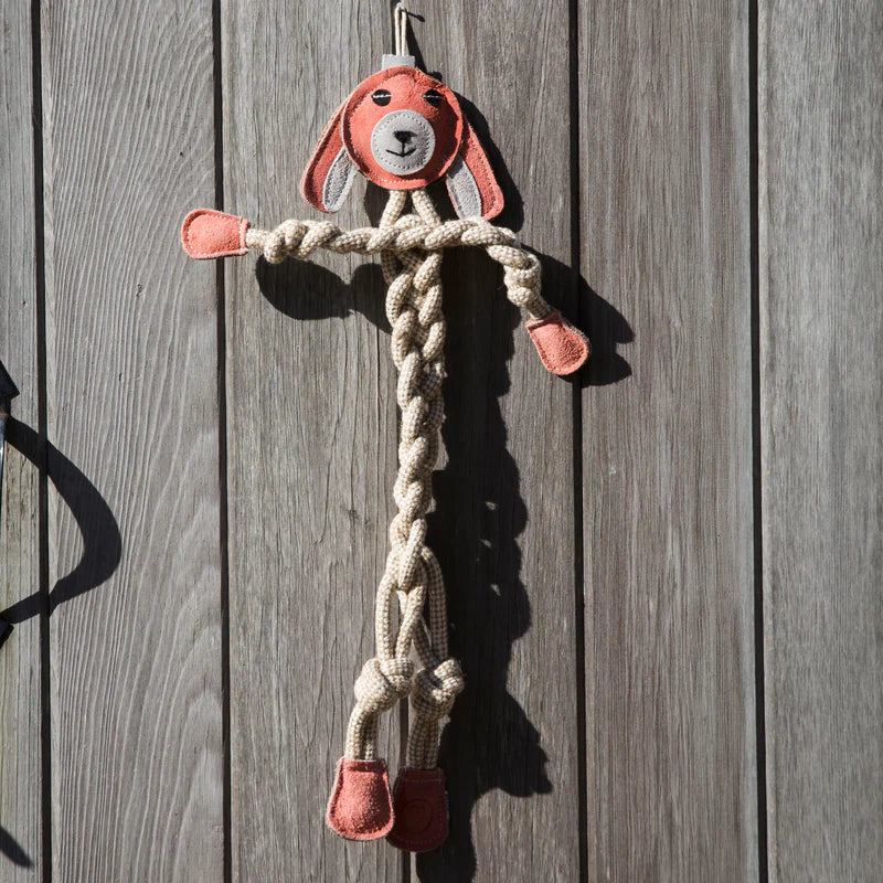 HUGGLE HOUNDS KNOT ROPE BUNNY - Image 2