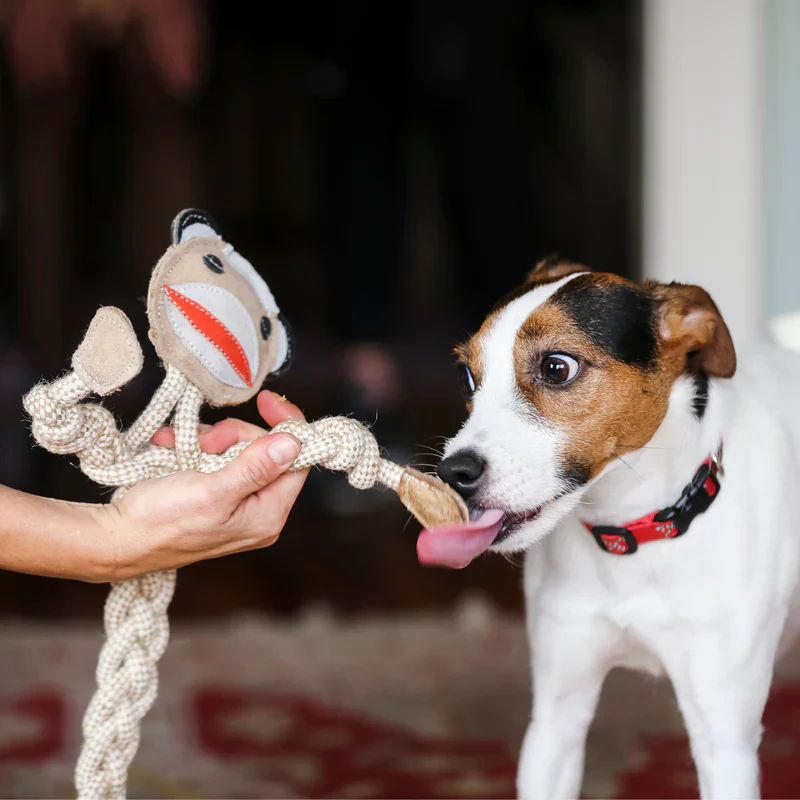 HUGGLE HOUNDS KNOT ROPE MONKEY - Image 2