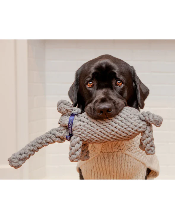 Jax & Bones Coco The Elephant 10" Large Rope Dog Toy - Image 2