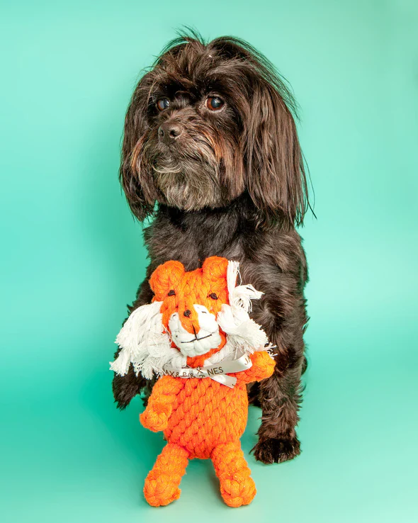 Jax & Bones Timmi The Tiger 8" Large Rope Dog Toy - Image 2
