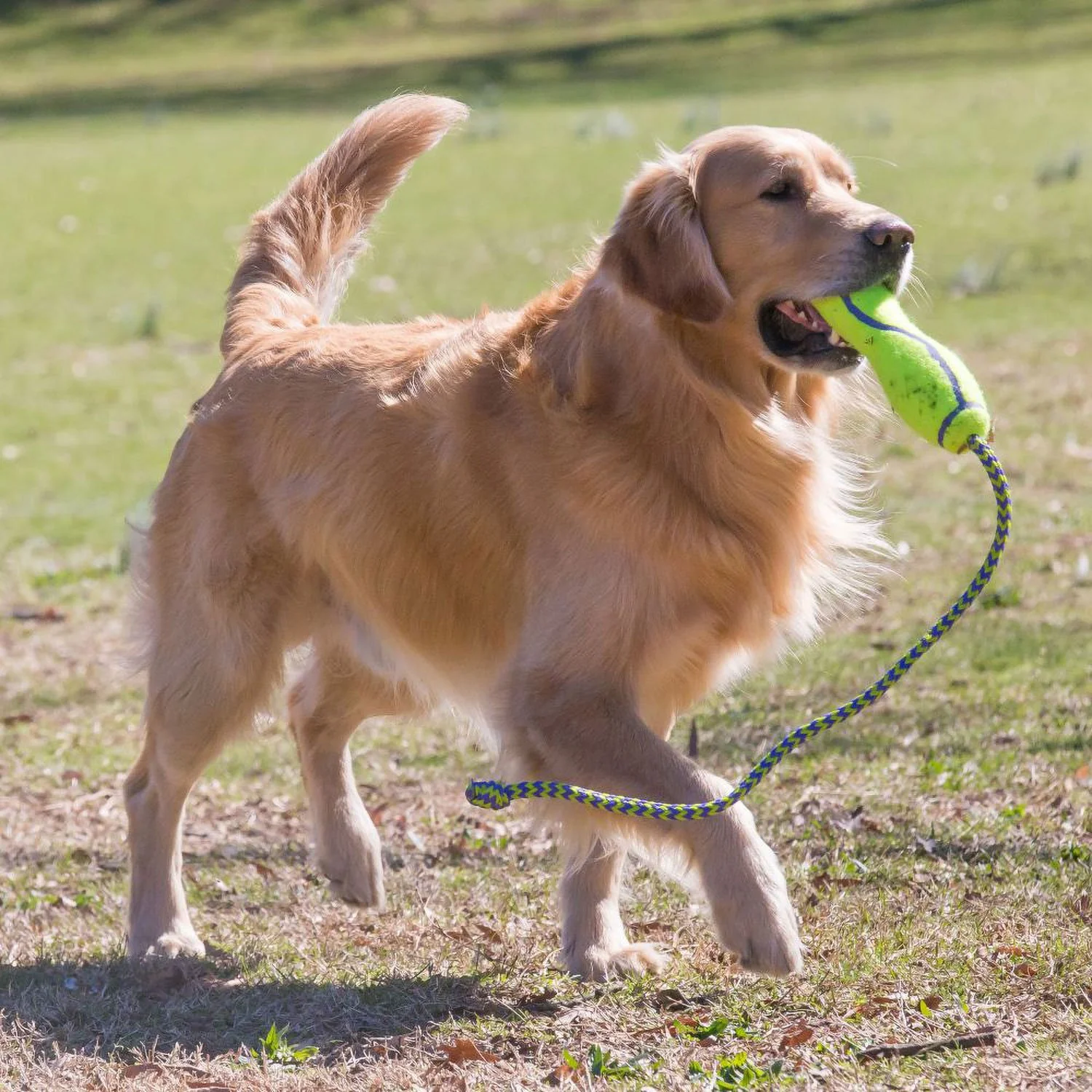 Kong Air Fetch Stick & Rope Toy LG - Image 3