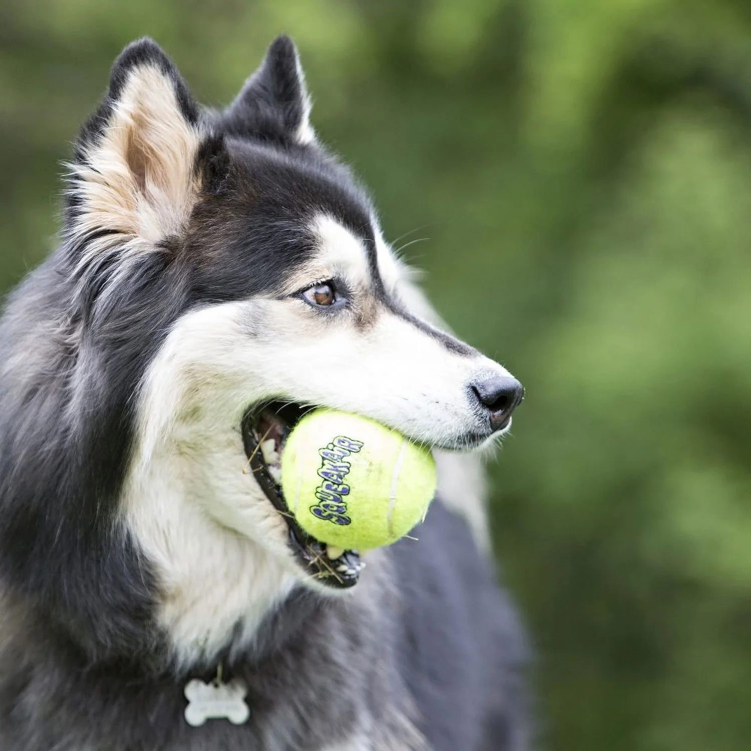 Kong Air Squeaker Ball Toy 3pk - Image 3