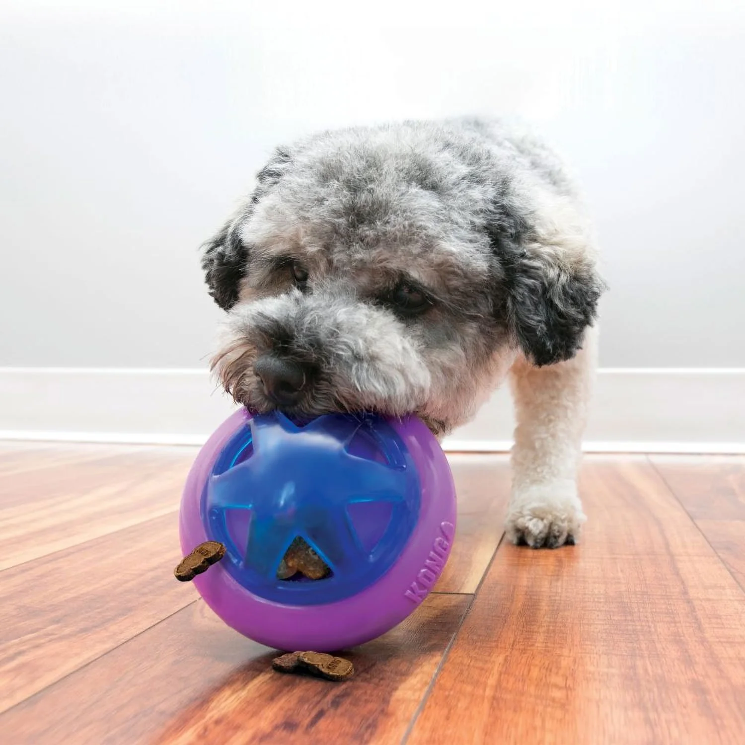 Hopz Ball PLB3 Kong - Image 3