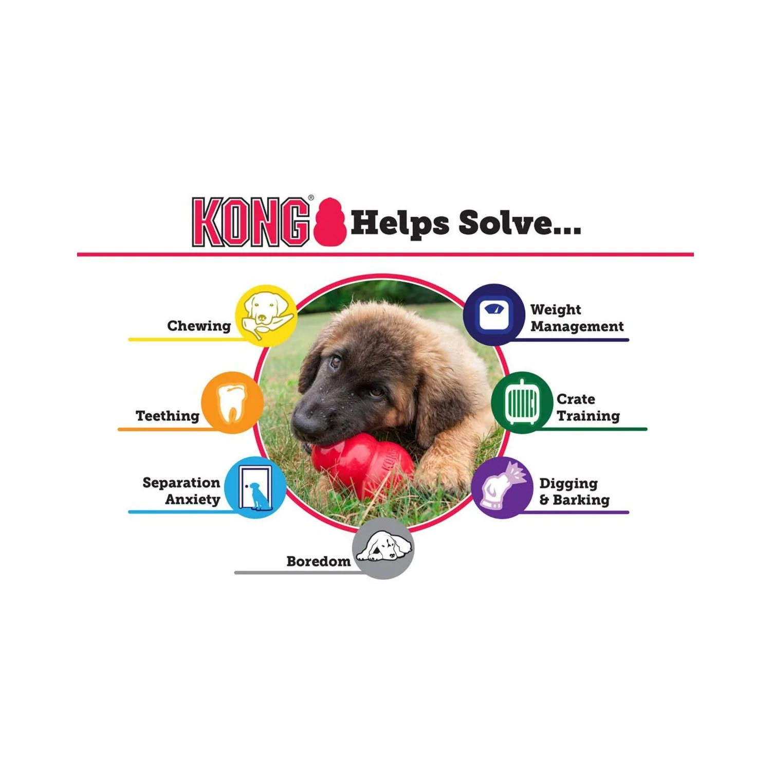 Kong Puppy Toy - Image 4