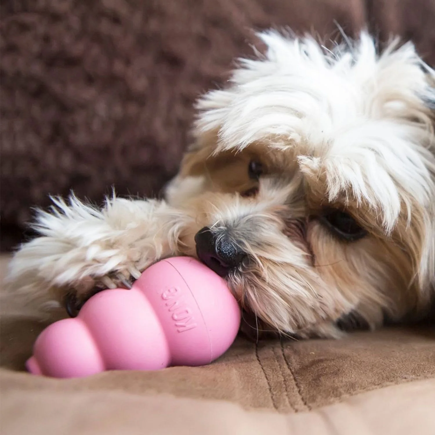 Kong Puppy Toy - Image 6