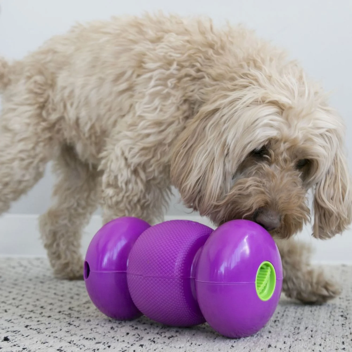 Kong Replay Treat Dispenser Toy LG - Image 3