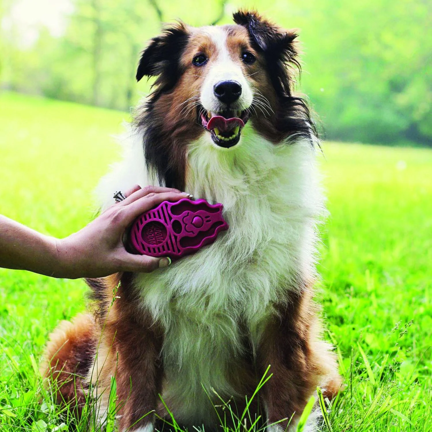 Kong Zoom Groom Boysenberry - Image 3
