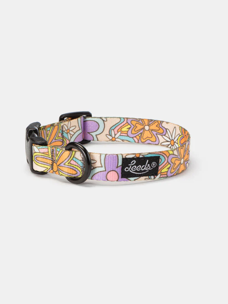 Leeds Dazey Collar LG 18-26"