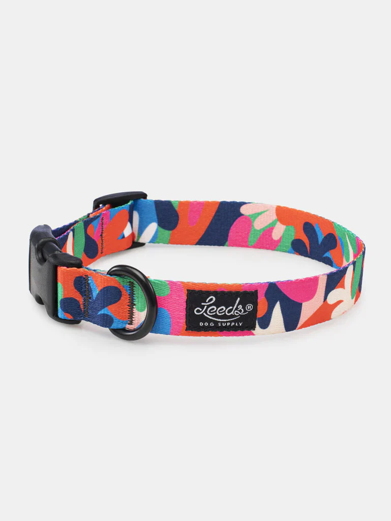 Leeds Jane Collar LG (18"-26")