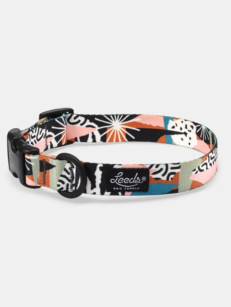 Leeds Lynx Collar