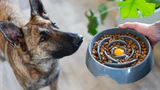 Messy Mutts Interactive Slow Feeder Bowl - Image 2