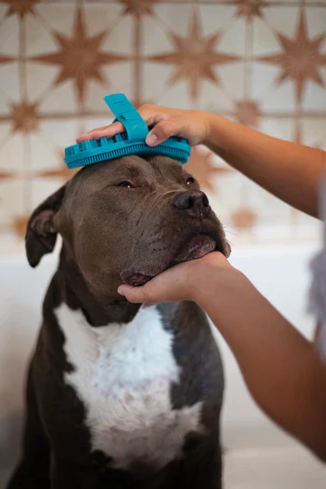 Messy Mutts Silicone Dual Sided Grooming Brush, 6.5 X 3.5" Blue - Image 3