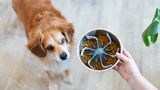 Messy Mutts Slow Feeder Bowl Insert With Suction, 7.5" X 2" Cool Grey - Image 3
