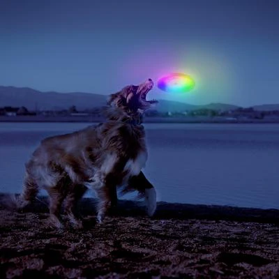 Nite Ize Dog Discuit LED Flying Disc - Image 4