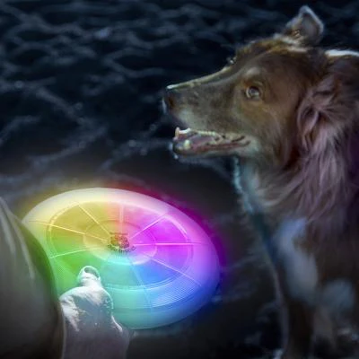 Nite Ize Dog Discuit LED Flying Disc - Image 6