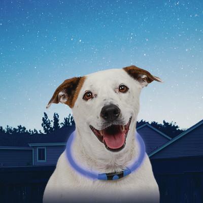 Nite Ize NiteHowl Safety Necklace Blue - Image 4