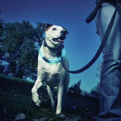 Nite Ize NiteHowl Safety Necklace Blue - Image 5