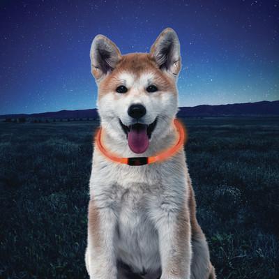 Nite Ize NiteHowl Safety Necklace Orange - Image 4