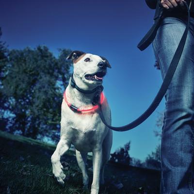 Nite Ize NiteHowl Safety Necklace Red - Image 5