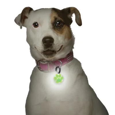 Nite Ize Petlit LED Green Paw - Image 5