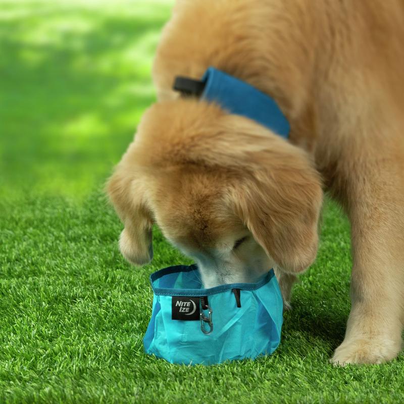 Nite Ize RadDog Collapsible Bowl Blue - Image 6