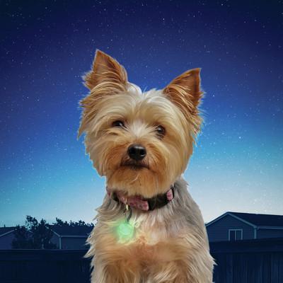 Nite Ize Spotlit L.E.D Green - Image 4