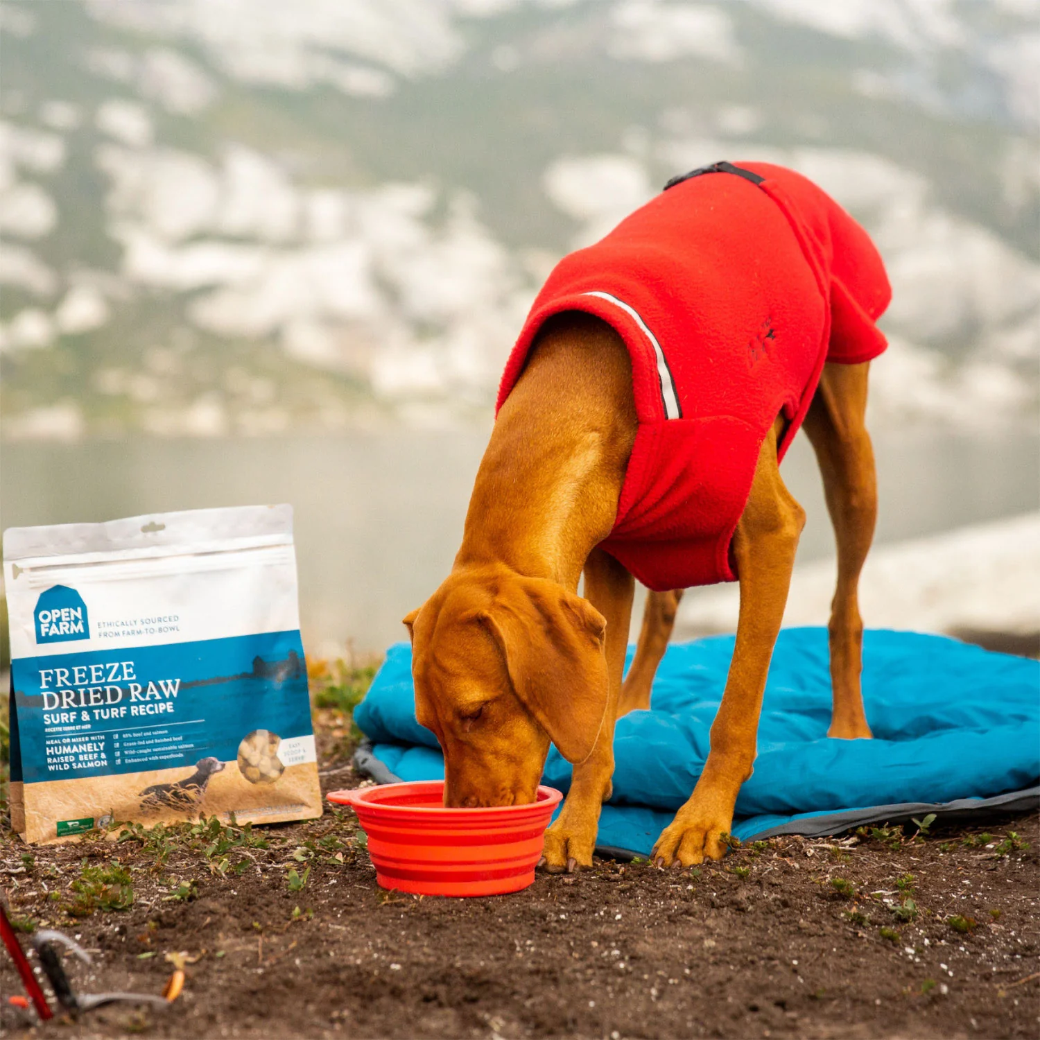 Open Farm Freeze Dried Surf & Turf - Image 2